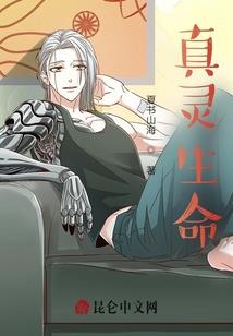 啼血天下