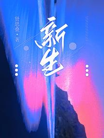 双翼的残响
