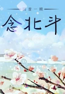 回首琥珀一刹那