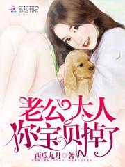 四域之巅