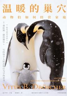 一见倾心之爱上懒丫头