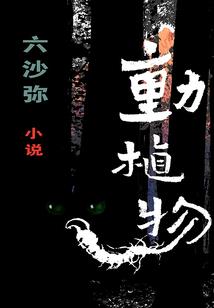 爱上贵族的平民