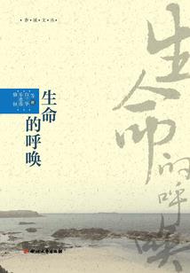 我的系统是萝莉