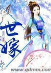 一把菜刀