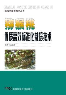 银魂神威同人：呆毛兔子不好养