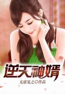 我是不是该高调的飞升