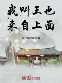 全职高手雪叶飘秋
