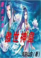 娑婆世界漫游指南