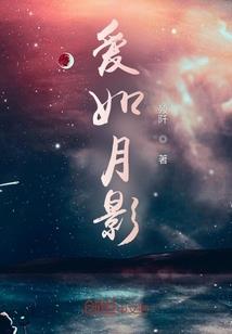 群穿神雕之大乱斗