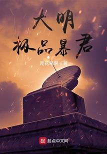 我在大夏开黑店