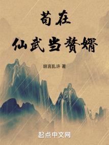 乱世枭雄之秦天