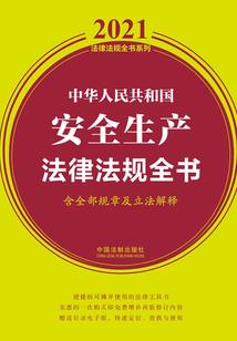 生命里的意外