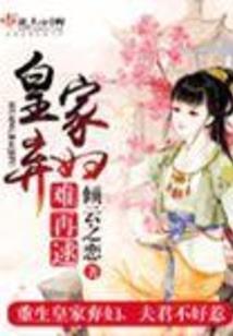 落日等你