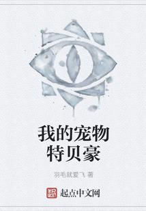 折纸战士之雷狂天龙