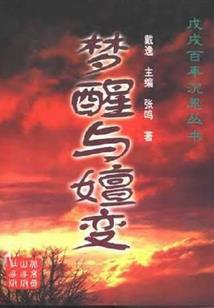 那些似锦年华
