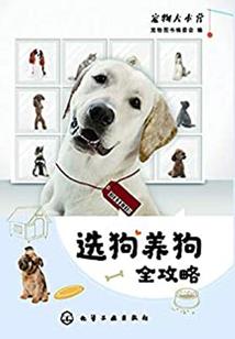 九品仙官系统