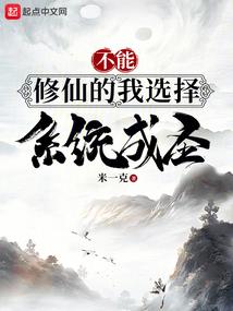 最后一苍穹
