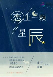 拳手的故事