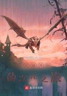 型月的幻想原型师