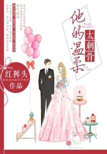春暖花开之婚姻篇