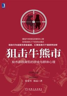 藏雪镜