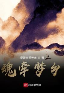 我们的婚姻死在QQ上