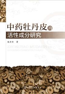 韩医生的盛夏光年