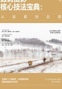 高级时间停止