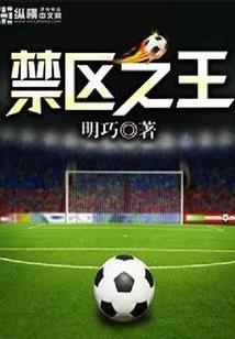 穿越奇缘之追夫记