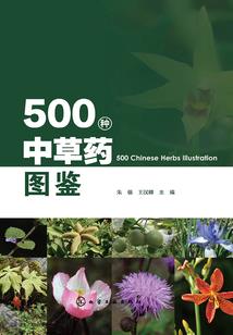 无上至尊作弊系统
