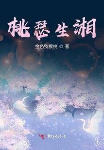 追星逐日