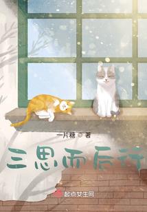 傲天之传