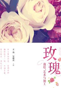 独美