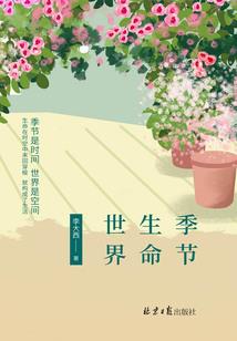 异次元的音