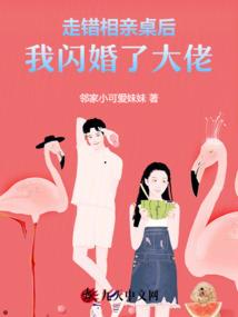 路人视角中的玛丽苏