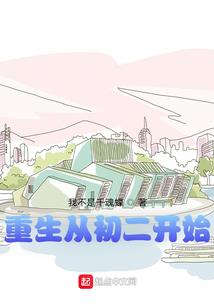 妃笑倾城歌手怪盗