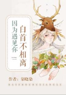金宫宠后