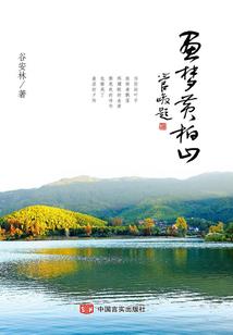 名侦探柯南之白色面具