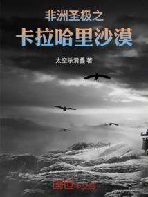 寂风夜奏曲