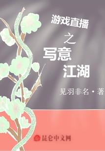 御龙风华录